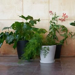 vitra shop -vitra shop Flower pot with saucer grey L situ