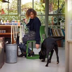 vitra shop -vitra shop Tip Ton chair in cactus