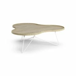 Swedese Flower Mono Coffee Table 114 X 107 -vitra shop a98ee6ba c861 11eb a3db 42010a04e005