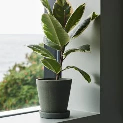 vitra shop -vitra shop hay flower pot with saucer green M Situ